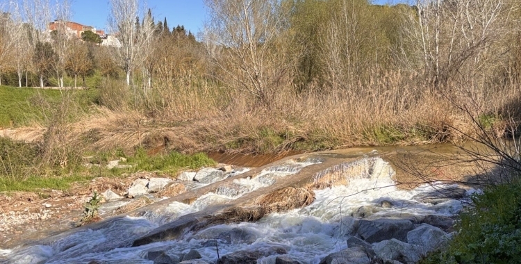 Riu Ripoll | Cedida
