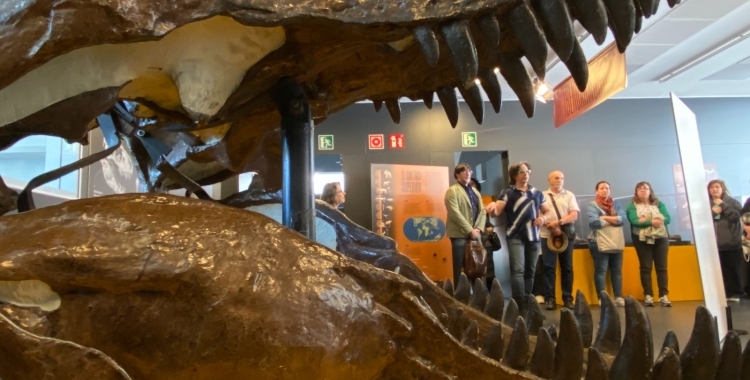 Exposició al Museu de l'Institut Català de Paleontologia Miquel Crusafont