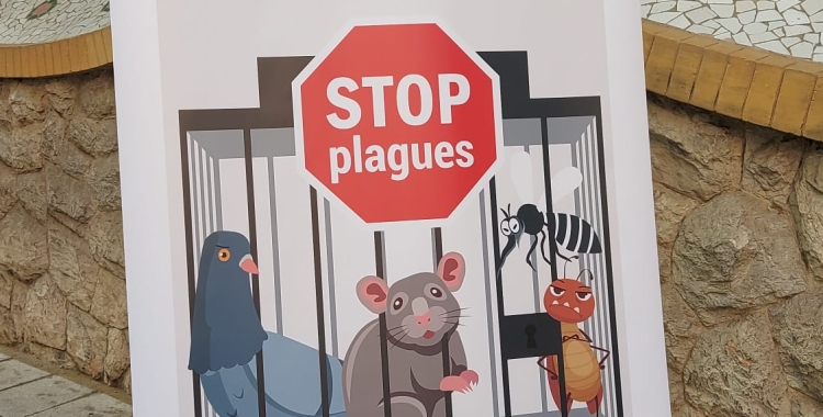 plagues