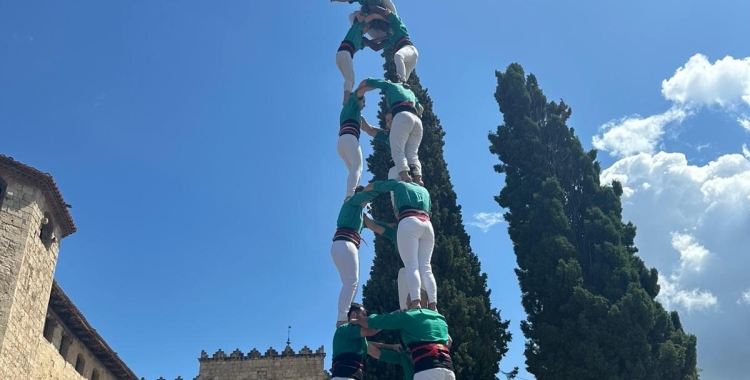 Imatge del 3d8 descarregat avui a Sant Cugat | Cedida