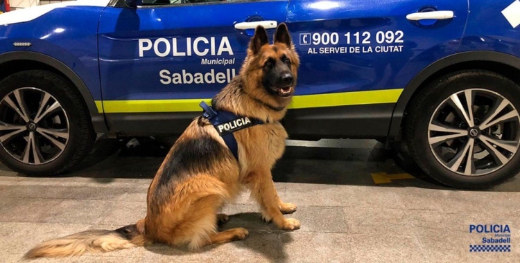 unitat canina