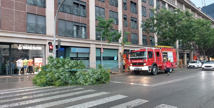 Els Bombers treballen en la retirada d'un arbre caigut al carrer Pi i Margall