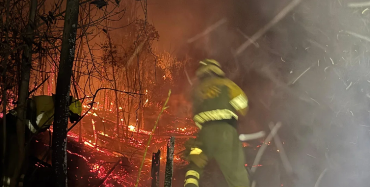 Diversos voluntaris de l'ADF actuant en un incendi | ADF Sabadell