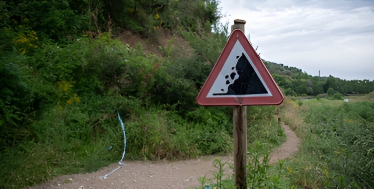 millores camins ripoll