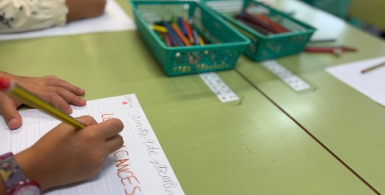 L'Escola Roureda comença el curs sense vetlladores | Cedida