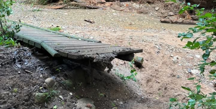 Torrent de colobrers