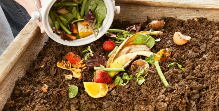 compost