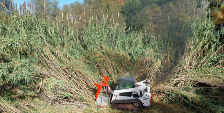 Les actuacions en la llera del Ripoll i la zona del riu Tort | Ajuntament de Sabadell