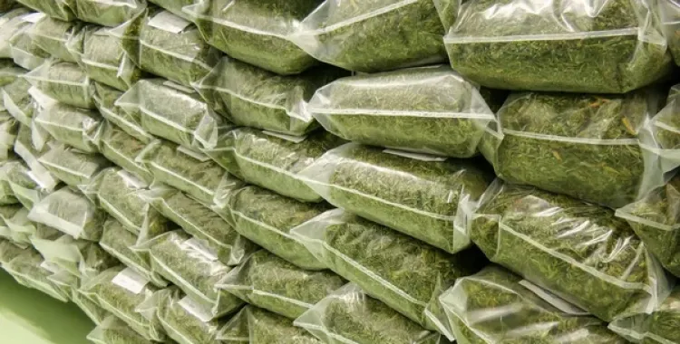 Marihuana en bosses de plàstic | Cedida