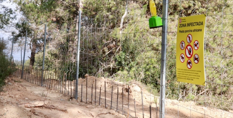 Els Agents Rurals han col·locat tanques als passos de fauna | ACN