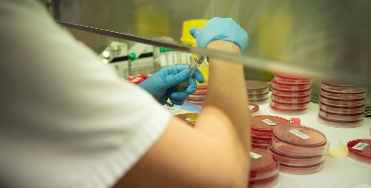 Una sanitària analitzant mostres al laboratori