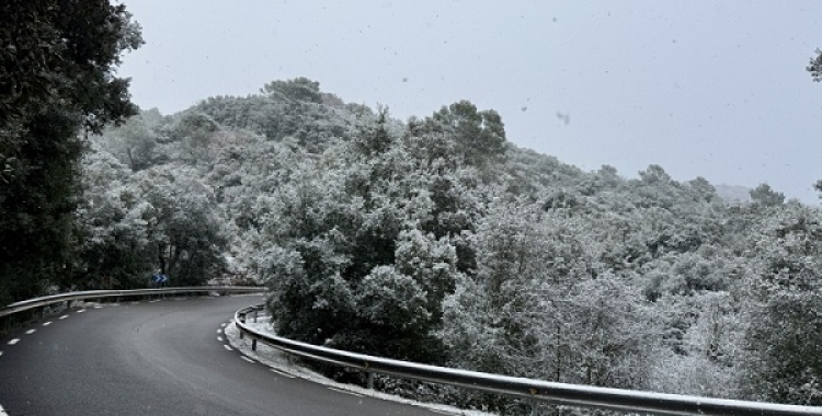 Nevada a la carretera d'accés al Parc de Sant Llorenç del Munt i l'Obac | Gemma Sánchez (ACN) 