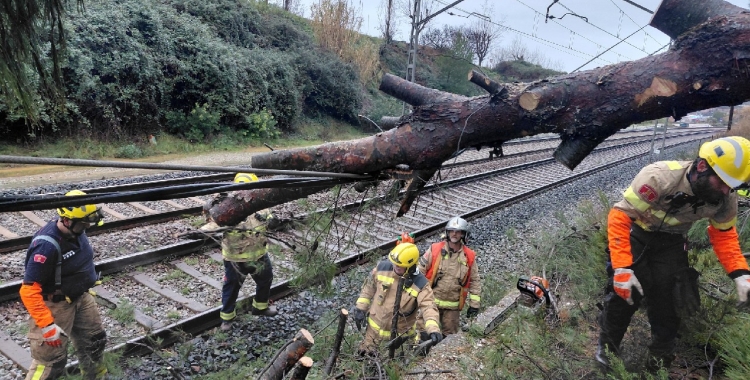 Els Bombers retirant l'arbre caigut a les vies