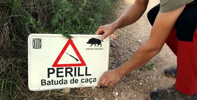 senglar positiu sabadell