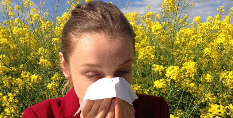 al·lèrgies primaverals