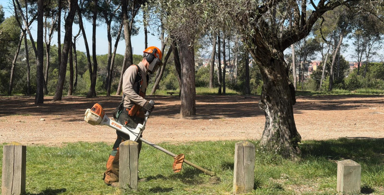 Un operari de CIPO fent tasques de desbrossa | Mireia Sans