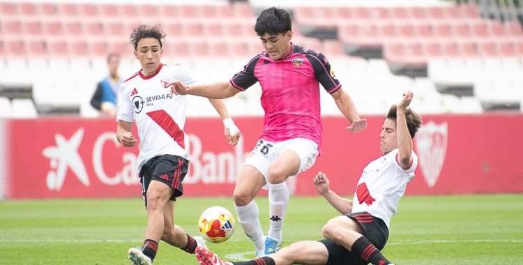 Tito Tolosa | Roger Benet