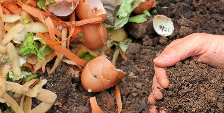 compost