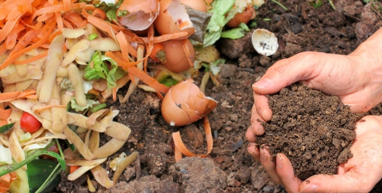 compost