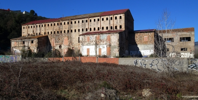 moli
