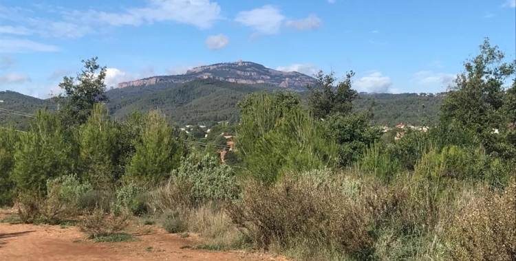 Risc màxim d'incendis al Vallès: restriccions d'accés a la zona de Sant Julià i al PN de Sant Llorenç | Adrián Arroyo