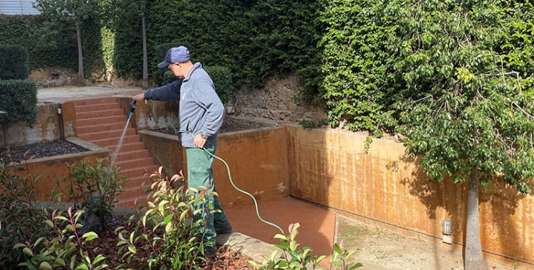Treballs de jardineria de CIPO