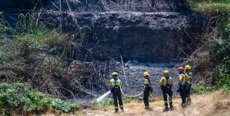 Efectius treballant en un incendi forestal | Arxiu