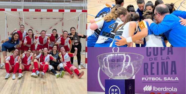 Fs Sabadell Femení