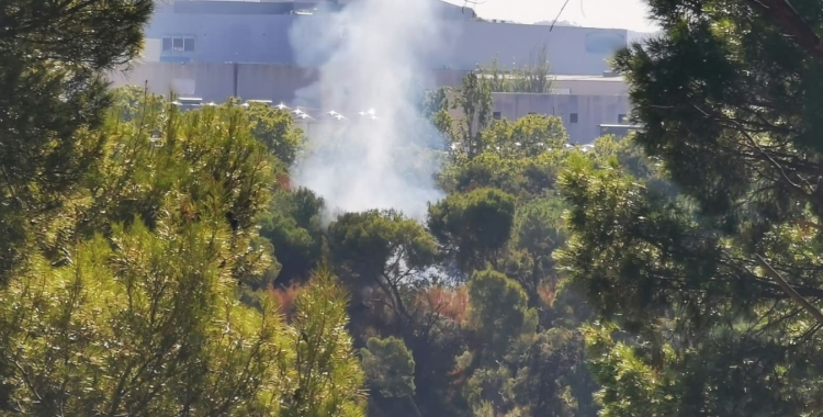 Imatge d'un dels incendis forestals | Agents Rurals
