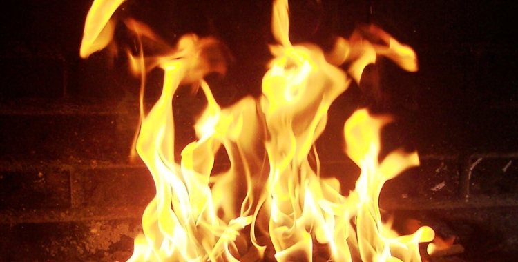 FOC