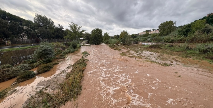 El Ripoll baixa molt ple d'aigua | Pau Vituri