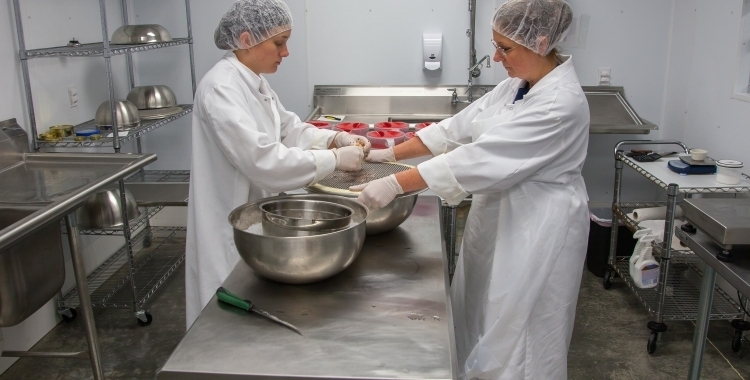 Empreses sector terciari | Arxiu