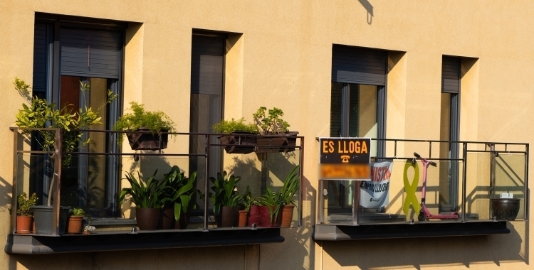 Pis amb el cartell de lloguer | Arxiu