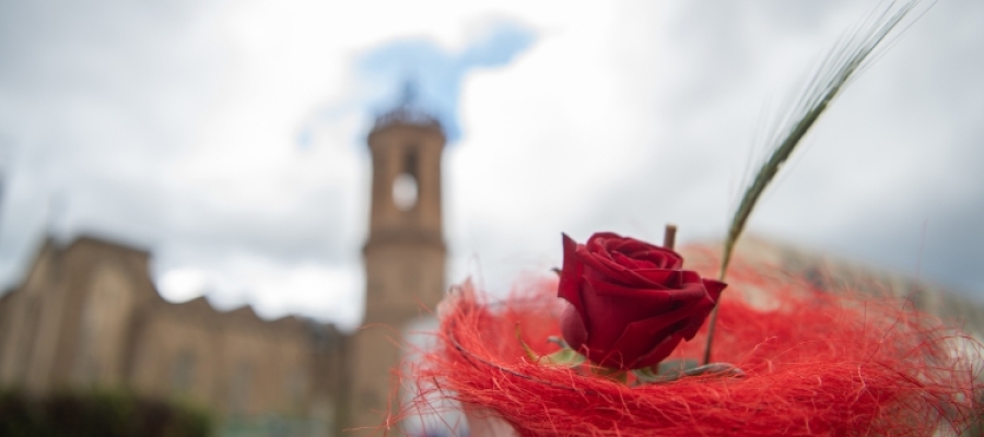 Una rosa de Sant Jordi | Roger Benet