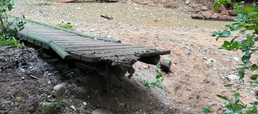 Torrent de colobrers