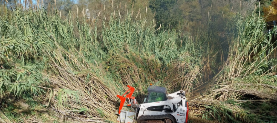 Les actuacions en la llera del Ripoll i la zona del riu Tort | Ajuntament de Sabadell