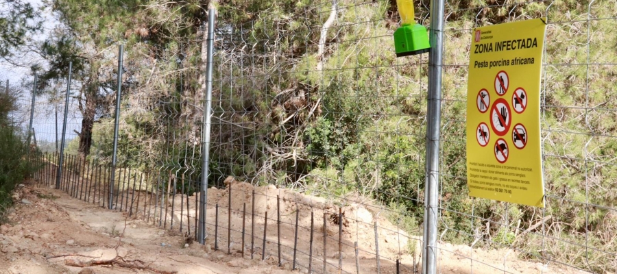 Els Agents Rurals han col·locat tanques als passos de fauna | ACN