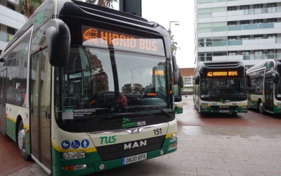 Durant la jornada d'avui, els 14 autobusos han estat exposats a Fira Sabadell | Helena Molist