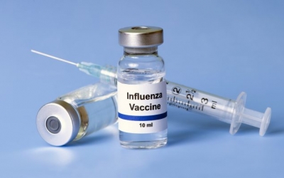 Imatge d'una vacuna antigripal | Cedida