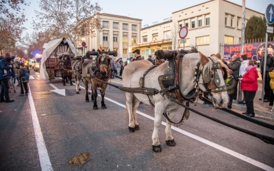 Una vuitantena de carruatges han envaït els carrers de Sabadell en la Passada de Sant Antoni | Roger Benet