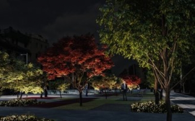 Imatge del projecte sobre com seran els arbres del futur Passeig 