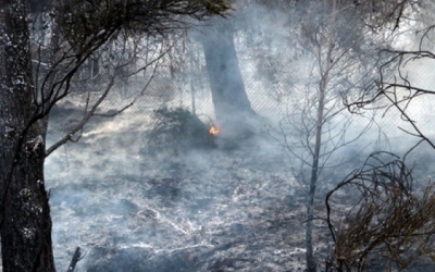 Els boscos del Vallès tenen un risc més alt d'incendi per culpa de la pandèmia | Arxiu