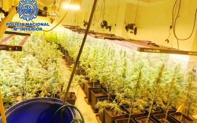 Plantació indoor de marihuana a Sabadell | Policia Nacional