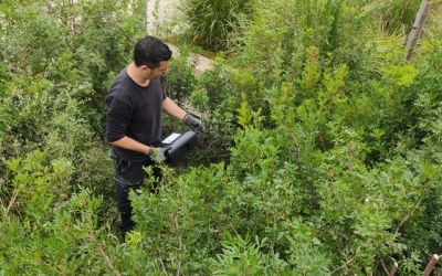 Un operari desbrossa les zones de vegetació de plaça Espanya per evitar plagues | Cedida