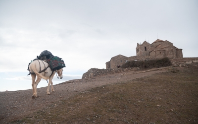 Una de les mules arribant al cim de La Mola | Roger Benet