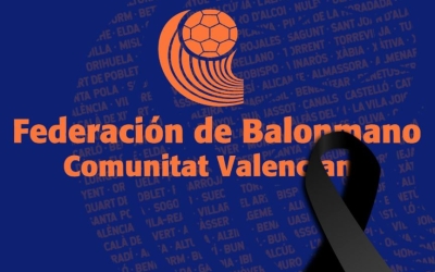 La Federació d'handbol valenciana ha comunciat la suspensió dels partits a València | 