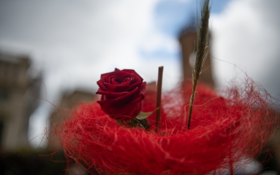 Roses de Sant Jordi a Sabadell l'any 2022