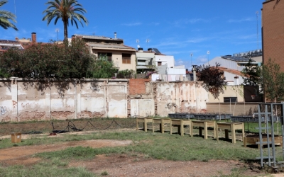 La sequera amenaça de mort l'Horta de Can Borrell