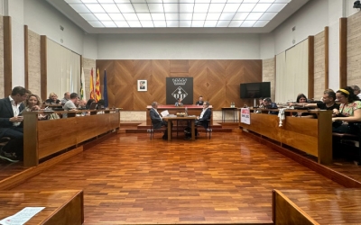 Saló de Plens, durant la sessio del maig | Ajuntament de Sabadell