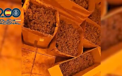 Plantació de marihuana desmantellada a Castellar